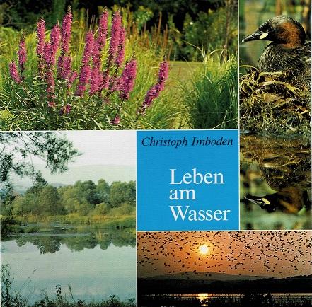 Imboden, Leben am Wasser.