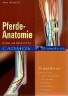 Rüsbüldt, Pferde-Anatomie