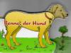 Bieber, Benno der Hund.
