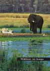 Schulthess, Wildtiere im Kongo.