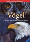 Vögel.